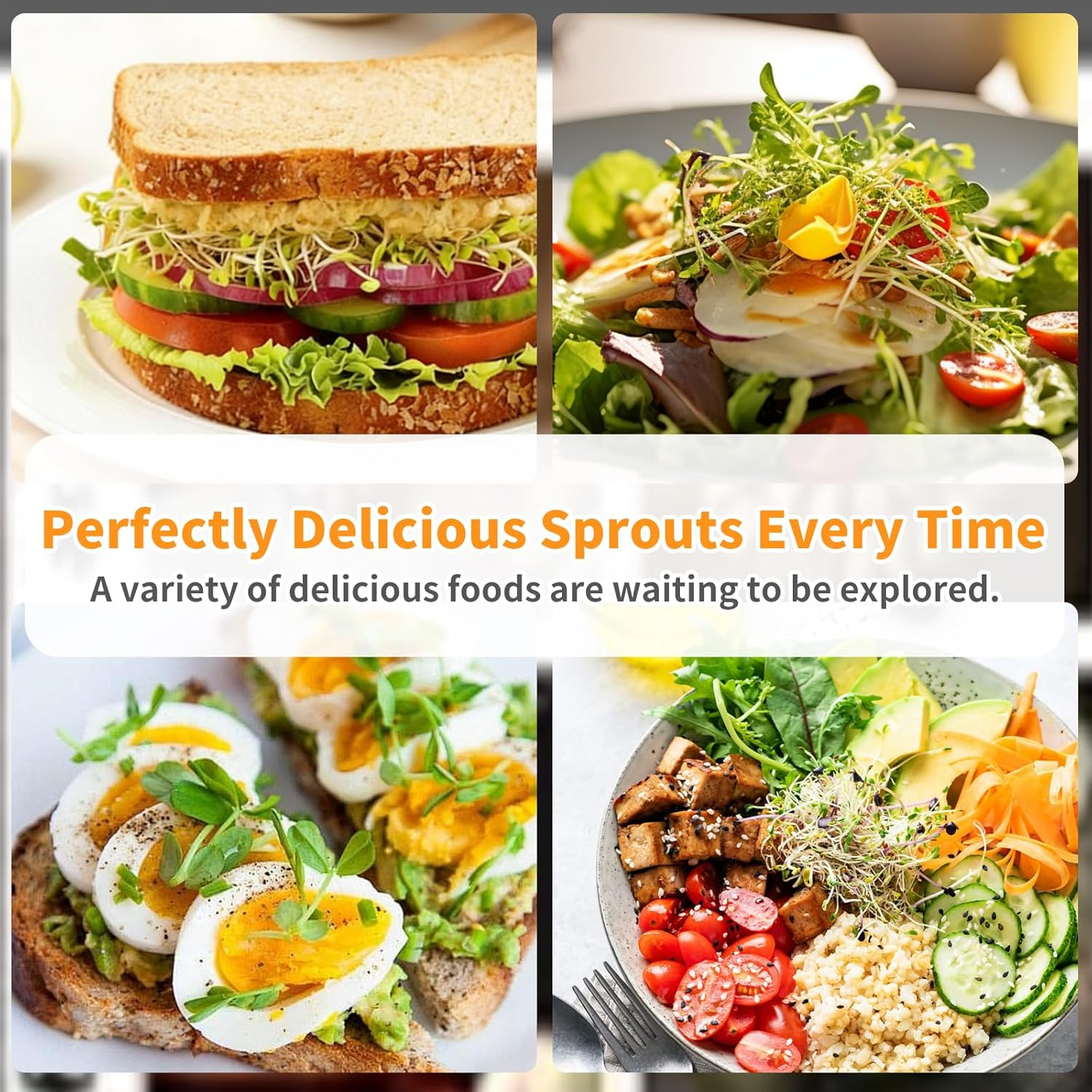 Updated Sprouting Kit - Sprouting Jar Kits